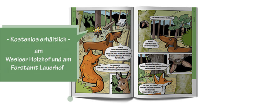 Comic Erhaeltlich